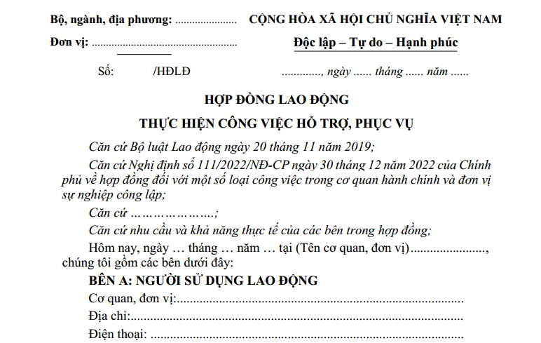 Mau Hop Dong Lao Dong Moi Theo Nghi Dinh 111 2022 Nd Cp 8786