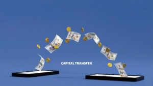 Quy định mới nhất 2026 về hoạt động chuyển nhượng phần vốn góp trong Công ty TNHH 2TV trở lên