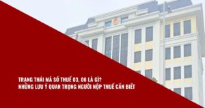 Trạng Thái Mã Số Thuế 03, 06 Là Gì ?Những Lưu ý Quan Trọng Người Nộp Thuế Cần Biết